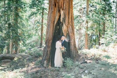 Bride embraces her groom in front of California redwood tree