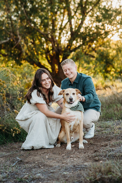 Fort Collins Family, Maternity, Engagement Photography