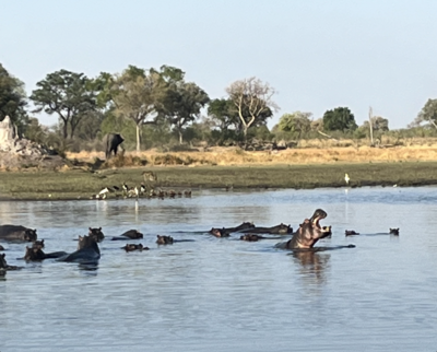 botswana country 4
