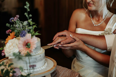 Danville_VA_Virginia_NC_photographer_session_wedding_elopement_portrait.jpg