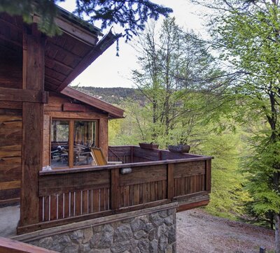 A cozy brown house, surrounded by pine trees and a stunning mountain view