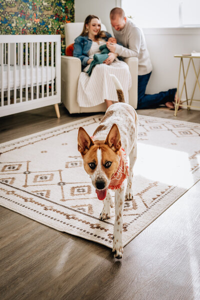 A family in a nursery with the parents sitting together in a chair, holding their newborn.