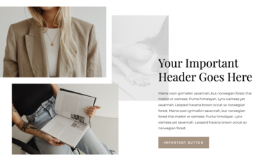 Commercial use Showit Canvas Layout