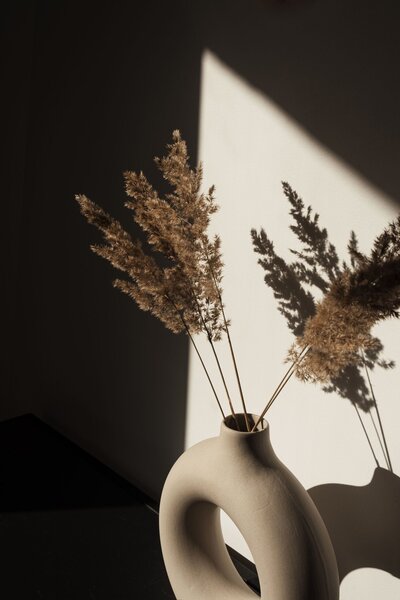 dry-pampas-grass-reed-stalks-bouquet-stylish-round-vase-shadows-wall-silhouette-sunlight-scaled