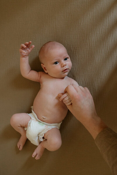 newborn