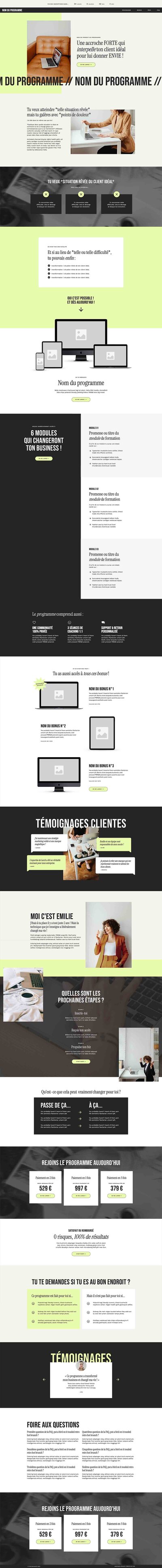 Capture d'écran du template de site Internet Showit Ash