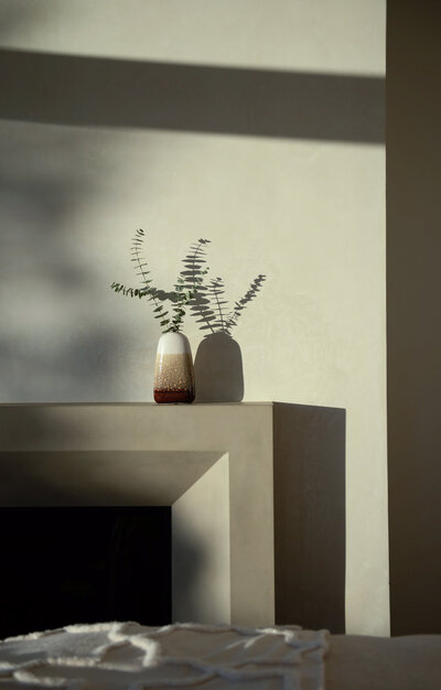 Plaster wall and plant on modern concrete fireplace hearth