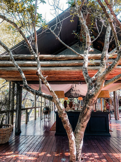 luxury african safari