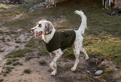 Montana Wedding Photographer