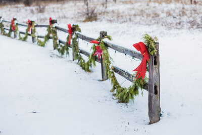 christmas at Wisconsin wedding venue