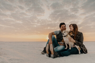 couple sits on sand with dogs