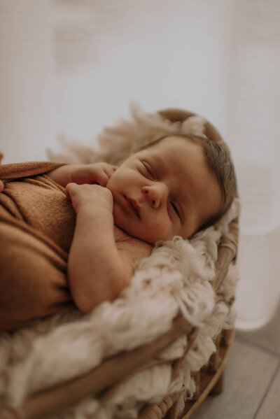 Baby slaapt in mandje tijdens newborn fotoshoot