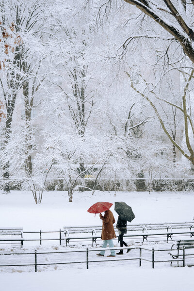 NYC Snow (7 of 14)