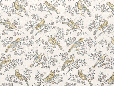 BULBUL DOVE_ BUL-O4-RFD_1