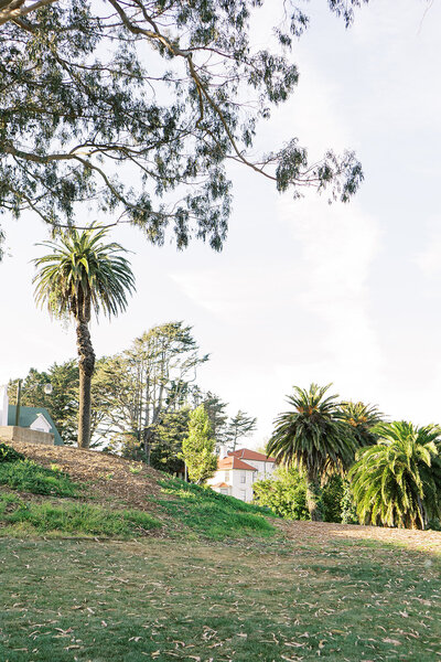 san-francisco-generals-residence-wedding-monica-lam-photography-ceremony-1