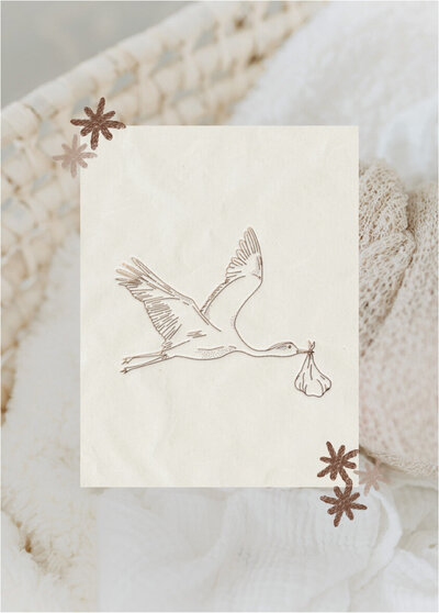 Little Portfolio gallery-05