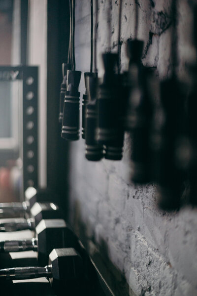 ropes hanging on a wall in a gym