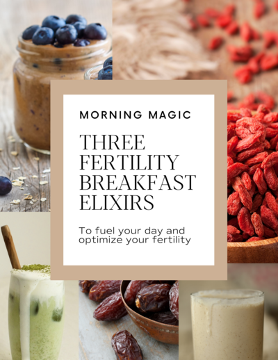 3 fertility breakfast elixirs