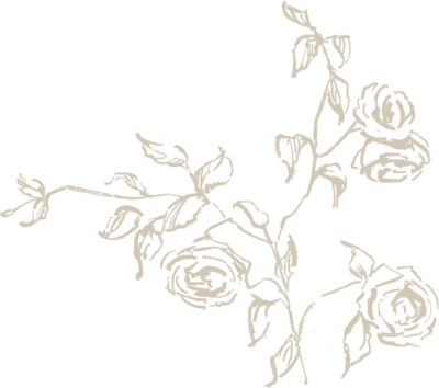 Rose illustration white
