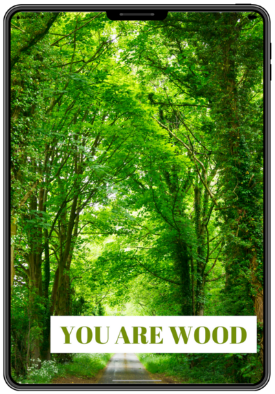wood feng shui element book by rodika tchi - your personal energy - feng shui home and life makeover with rodika tchi feng shui master consultant vancouver bc canada
