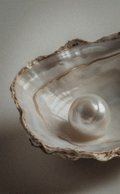 gold gilded edged oyster shell with a pearl in the front center of the shell