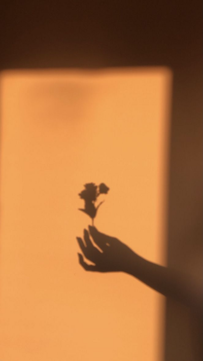 Golden-hour-main-ombre-fleurs