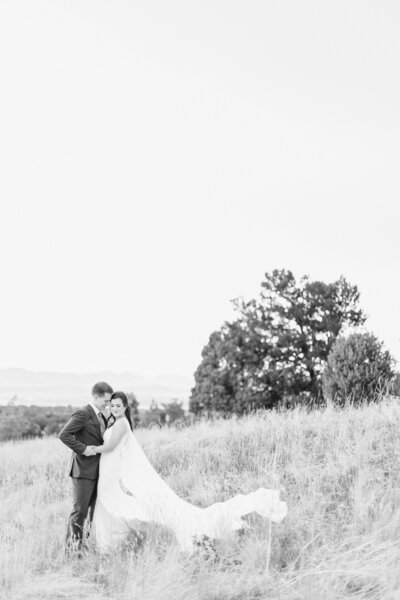 Highlands-Ranch-Mansion-Summer-Wedding-Taylor-Nicole-Photography-3