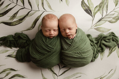 best newborn photography milwaukee, get newborn photos taken, newborn photography packages