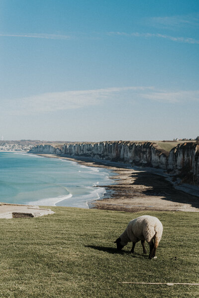 couple kissing and eloping on a mountain in the french alps