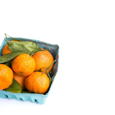 Citrus-Stock-Images_Social-Squares_Shay-Cochrane26-33
