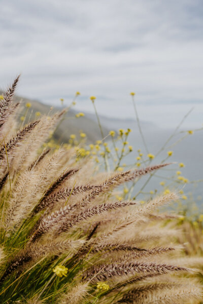 Big Sur Elopement Photographer