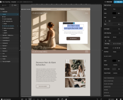 Template installatie handleiding voor Showit | Gebruiksvriendelijke setup instructies