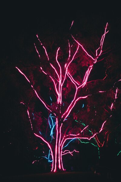 kiona-8u_C2iSqXSw-unsplash