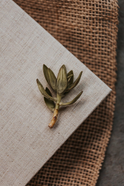 Album_Sample_2019-19