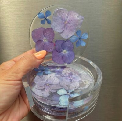 2CE9E73C-6667-4A88-A3E1-707B1BD9D659