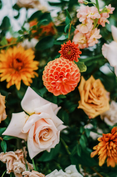James-Emily-Wedding-photos-117