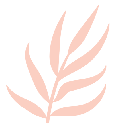 Submark branding for Braids and Blush