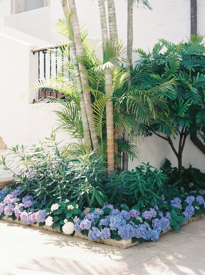 2024-05-katherine-panteleey-web-9