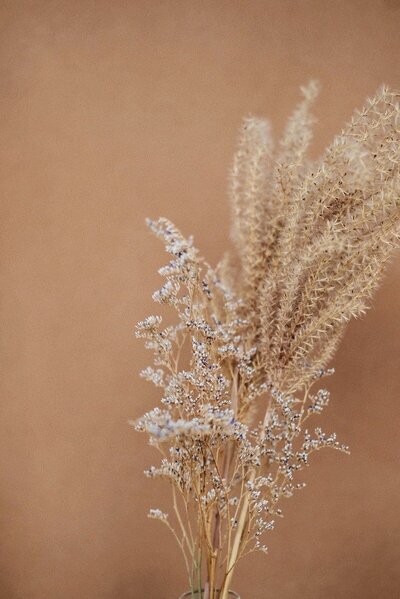 dried grasses in front of a terracotta wall