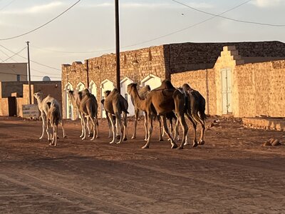 mauritania 4