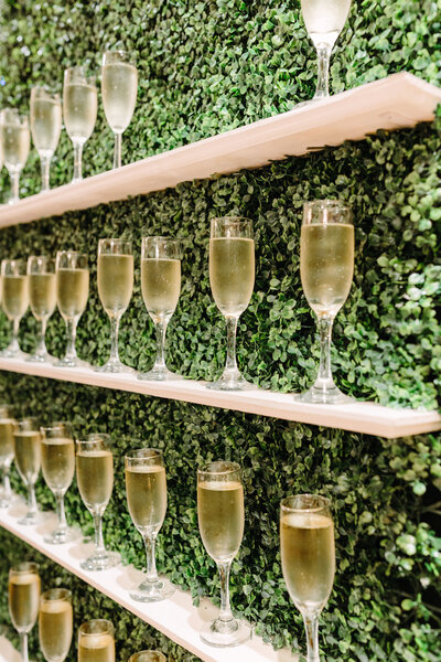 champaign glasses filled and lined up on a leafy wall