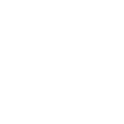 AlexElise_Logo_PrimaryLogo_White