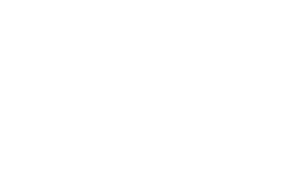 FireFly Inclusions Solutions Logo