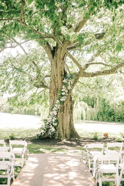 Bella & Andrew Sneak Peeks-8