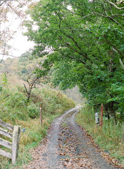 North Carolina walking path