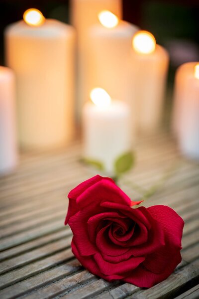 Paper rose