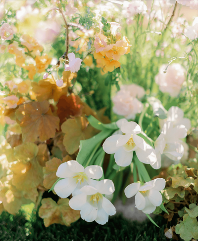 Screenshot 2025-11-25 at 11.42.27 AM