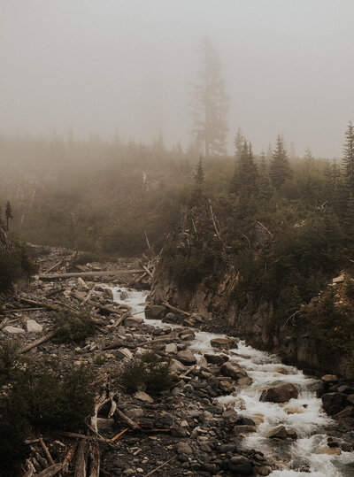 weddings_secondshootmtrainier-33