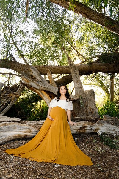 Beautiful light in a maternity photo in Provo Canyon Utah.