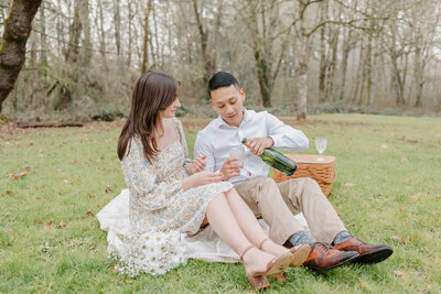 french inspired couple's picnic